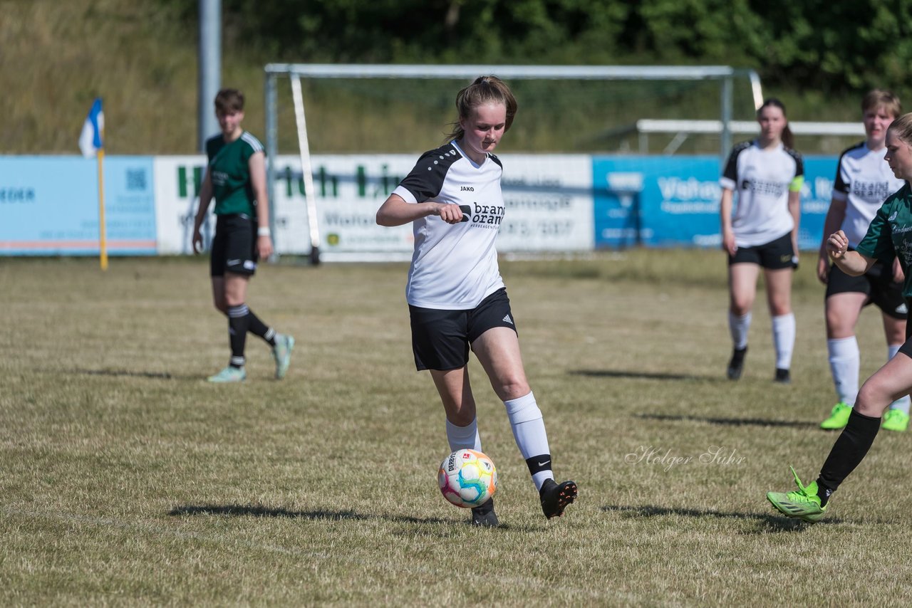 Bild 319 - wBJ TuRa Meldorf/Buesum - JFV Luebeck : Ergebnis: 1:0